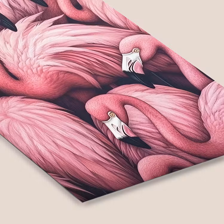 Flamingo - Roze - Dieren fotolijst zwart zonder passe partout klein -zsfeer6