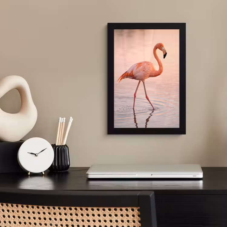 Flamingo - Water - Roze fotolijst zwart zonder passe partout klein -sfeer1