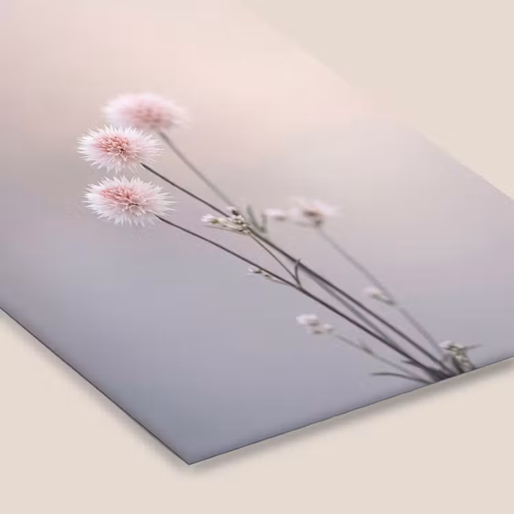 Bloemen - Bollen - Roze fotolijst zwart zonder passe partout klein -zsfeer6