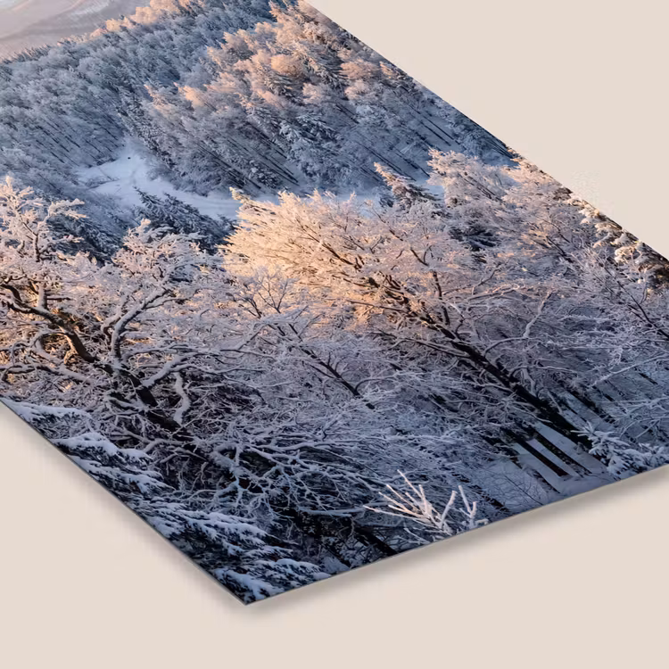 Bos - Bergen - Goud - Winter - Warm fotolijst zwart zonder passe partout klein -zsfeer6