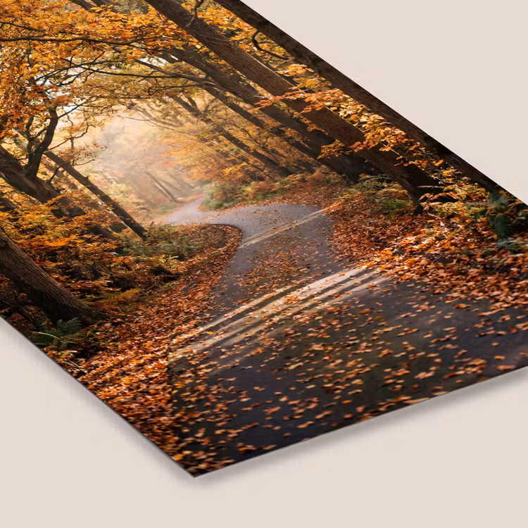Bospad - Herfstbos - Bladeren - Oranje - Nostalgisch fotolijst zwart zonder passe partout klein -zsfeer6