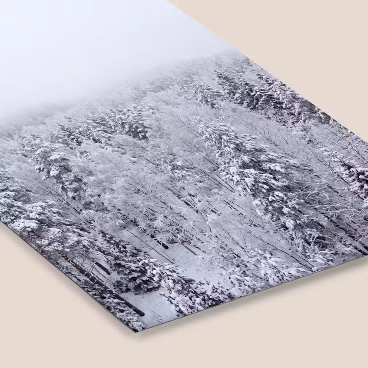 Bos - Sneeuw - Winter - Natuur - Wit fotolijst zwart zonder passe partout klein -zsfeer6