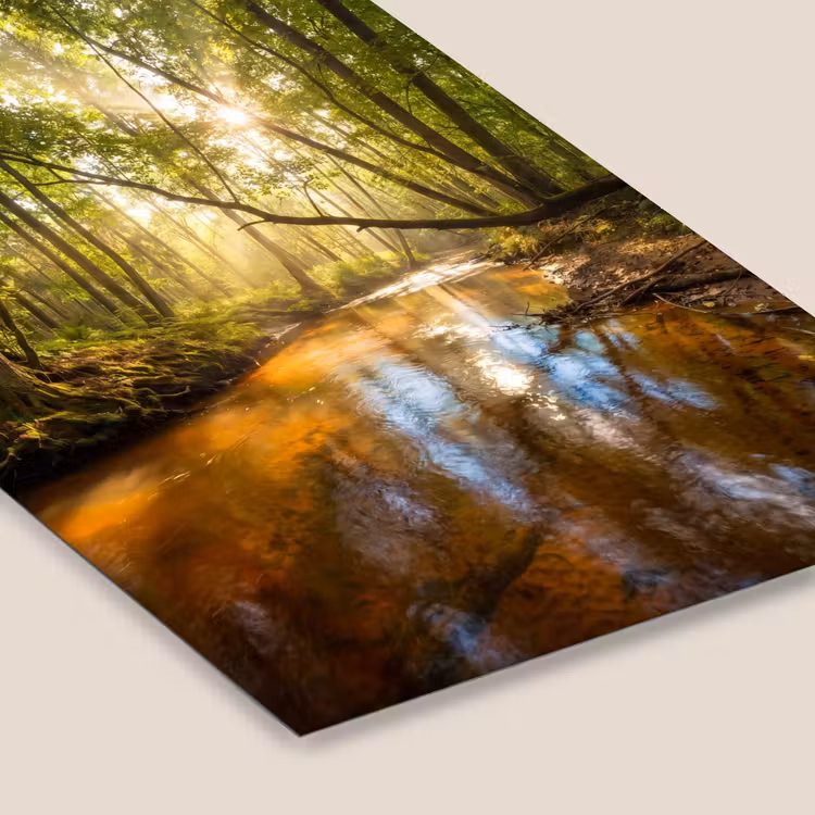 Bos - Beek - Zonlicht - Natuur - Groen fotolijst zwart zonder passe partout klein -zsfeer6