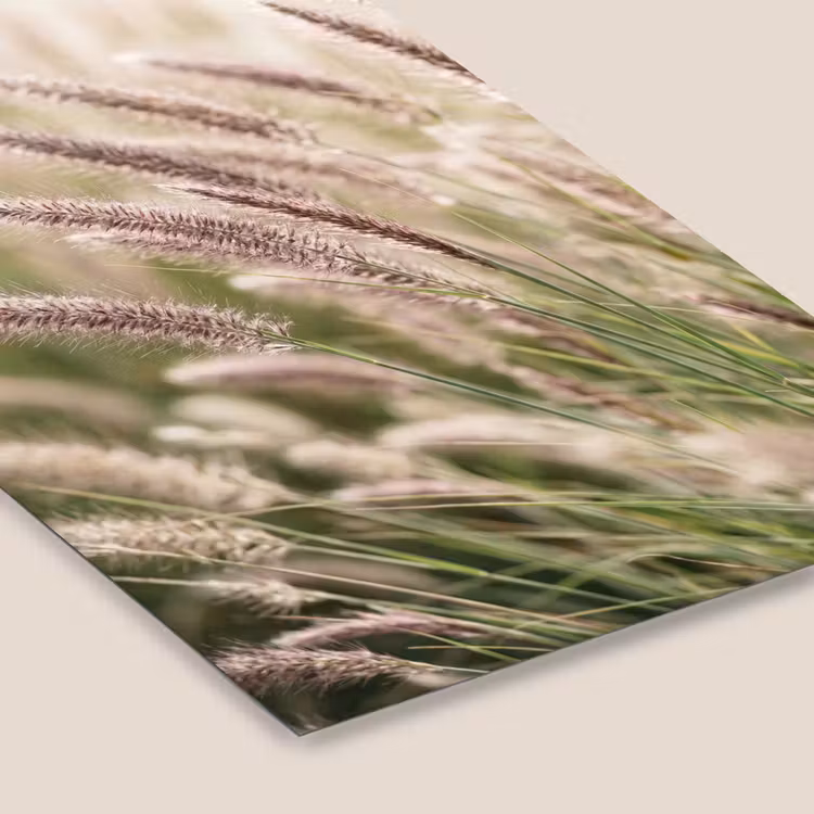 Gras - Close up - Groen fotolijst zwart zonder passe partout klein -zsfeer6