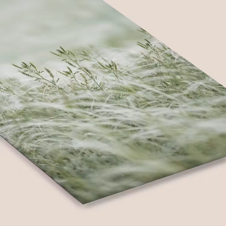 Grassen - Minimalistisch - Groen fotolijst zwart zonder passe partout klein -zsfeer6