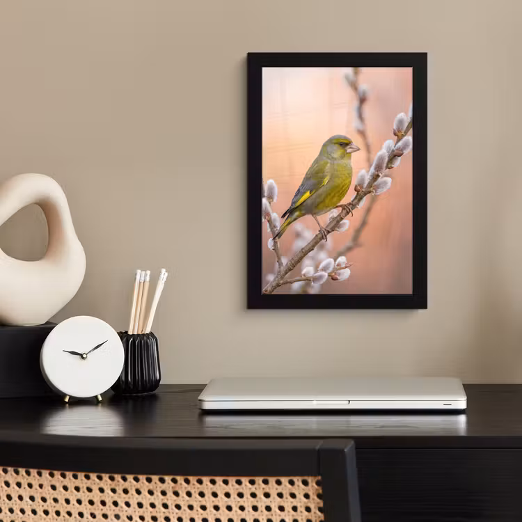 Groenling - Katjes - Lente - Natuur - Zacht fotolijst zwart zonder passe partout klein -sfeer1