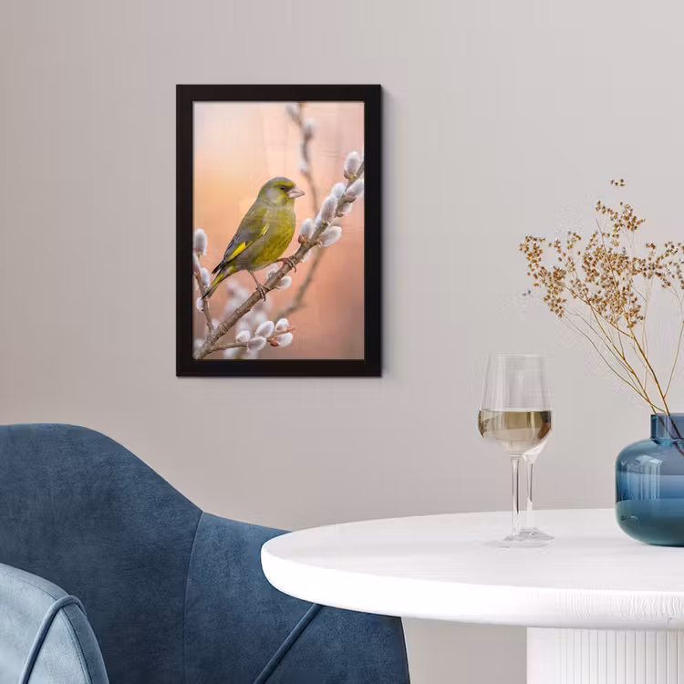 Groenling - Katjes - Lente - Natuur - Zacht fotolijst zwart zonder passe partout klein -sfeer4