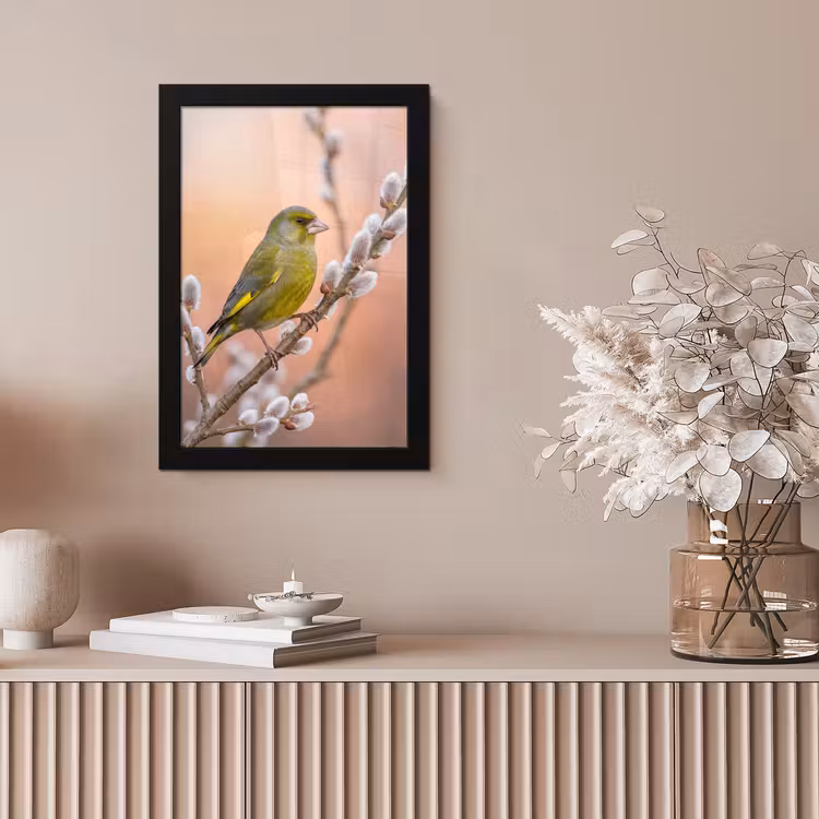 Groenling - Katjes - Lente - Natuur - Zacht fotolijst zwart zonder passe partout klein -sfeer5