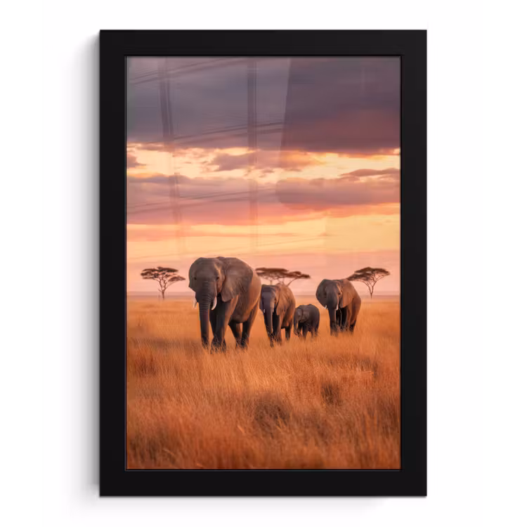 Groep olifanten - Open vlakte - Zon fotolijst zwart zonder passe partout klein -3d