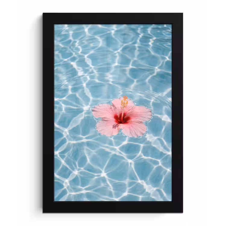 Hibiscus - Water - Roze fotolijst zwart zonder passe partout klein -3d