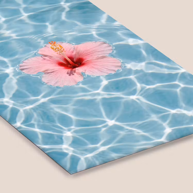 Hibiscus - Water - Roze fotolijst zwart zonder passe partout klein -zsfeer6
