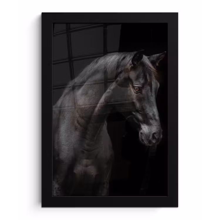 Paard - Dieren - Zwart - Portret fotolijst zwart zonder passe partout klein -3d