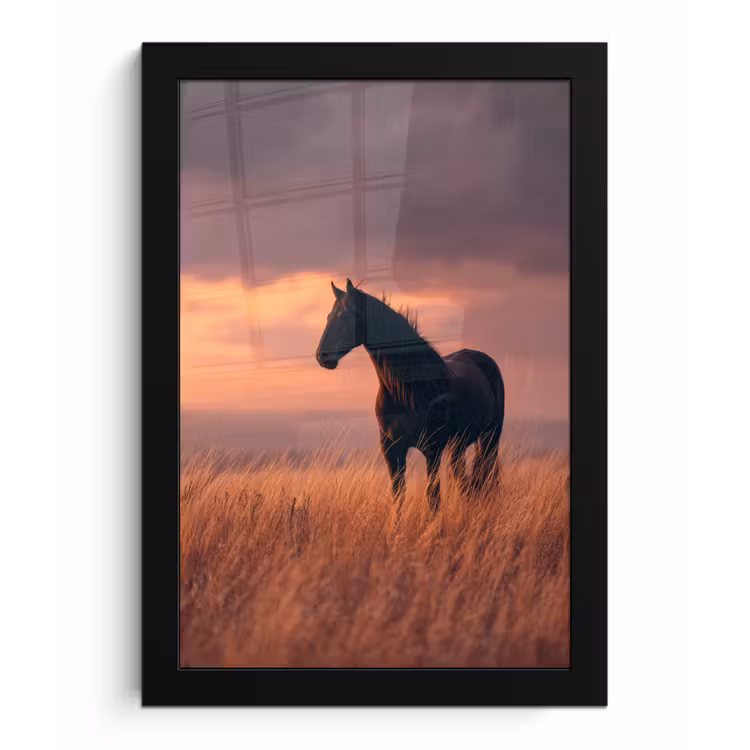 Paard - Wolken - Open veld fotolijst zwart zonder passe partout klein -3d