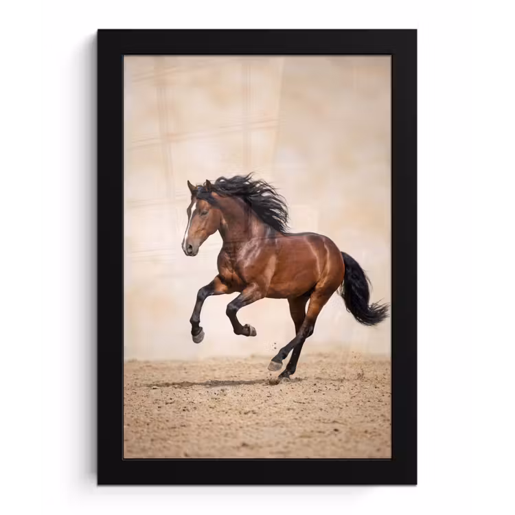 Paard - Galop - Energie fotolijst zwart zonder passe partout klein -3d