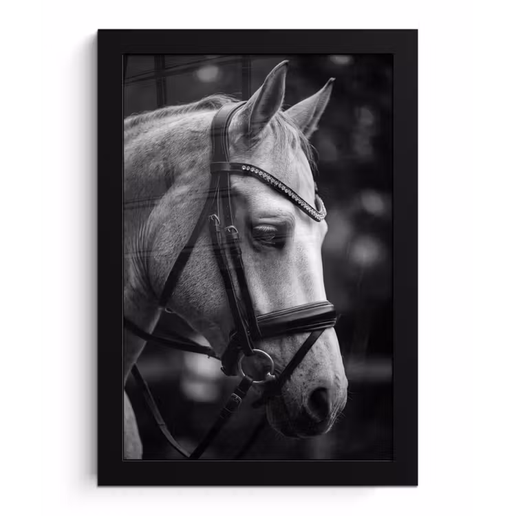 Paard - Schimmel - Portret fotolijst zwart zonder passe partout klein -3d