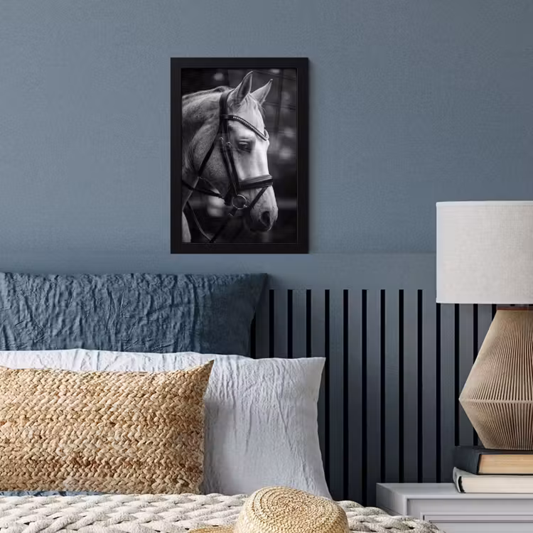Paard - Schimmel - Portret fotolijst zwart zonder passe partout klein -sfeer3