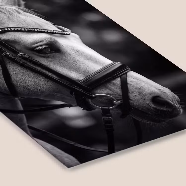 Paard - Schimmel - Portret fotolijst zwart zonder passe partout klein -zsfeer6
