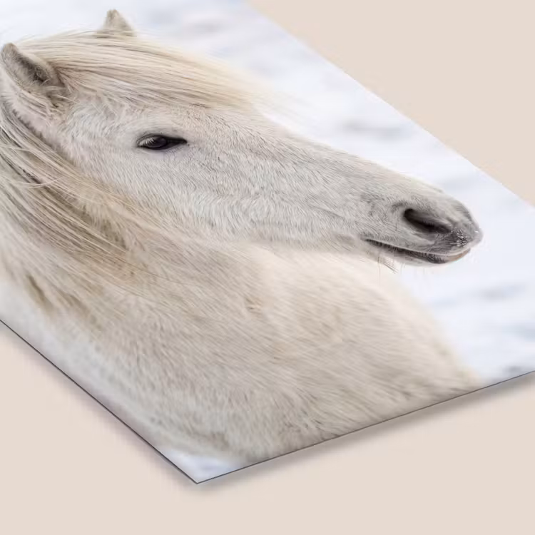 Paard - Kop - Winter - Dieren - Wit fotolijst zwart zonder passe partout klein -zsfeer6