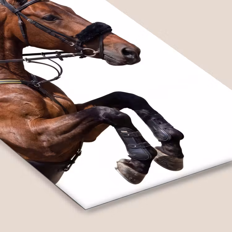 Paard - Springen - Modern fotolijst zwart zonder passe partout klein -zsfeer6
