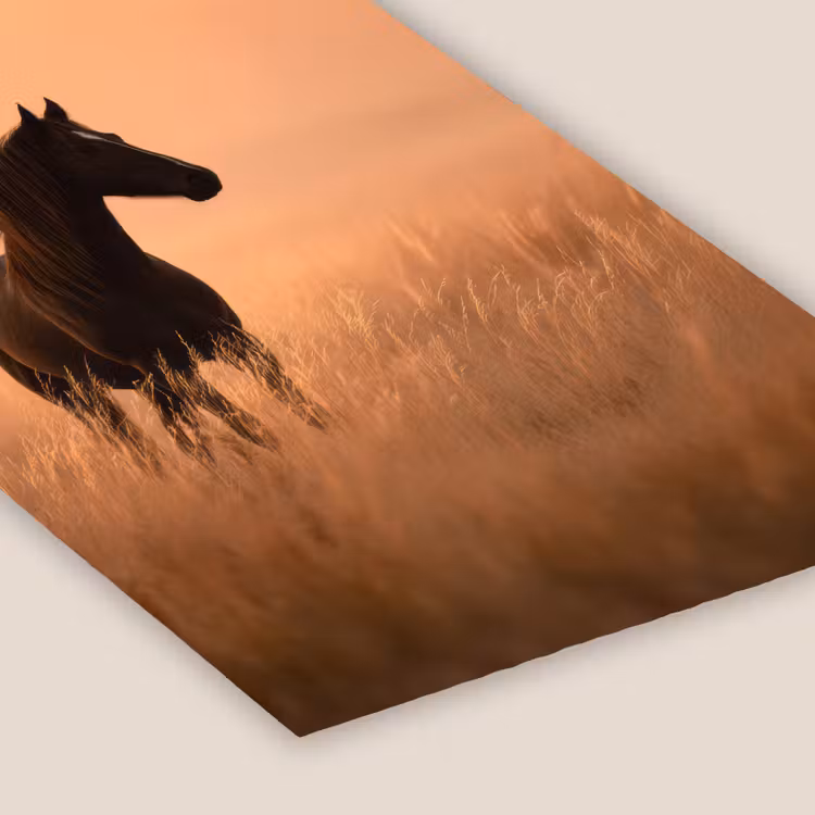 Paard - Grasveld - Zonsondergang fotolijst zwart zonder passe partout klein -zsfeer6