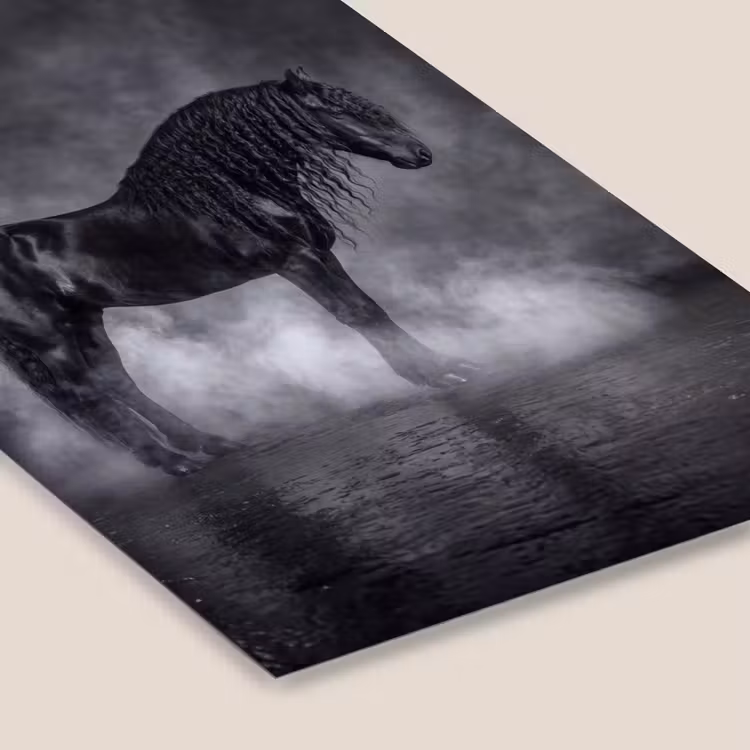 Paard - Magisch - Zwart fotolijst zwart zonder passe partout klein -zsfeer6