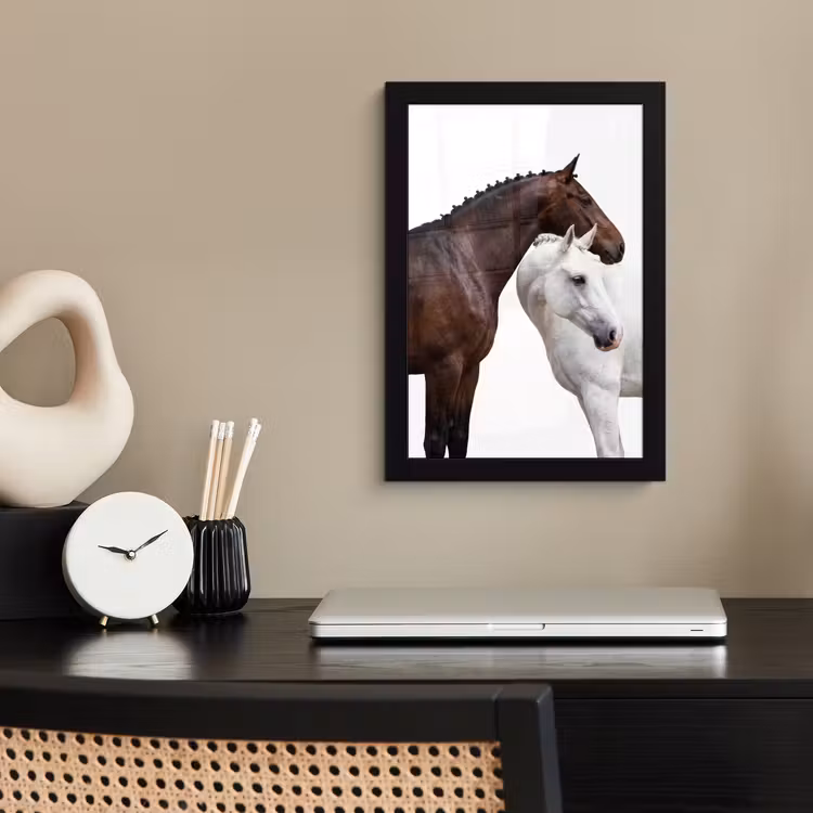 Paard - Modern - Balans fotolijst zwart zonder passe partout klein -sfeer1