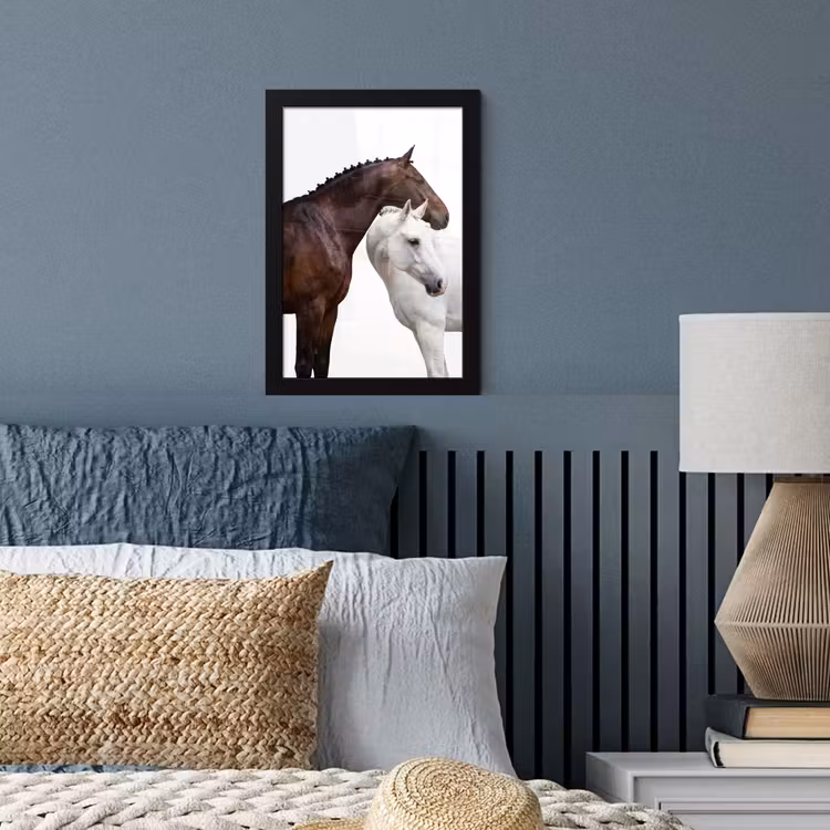 Paard - Modern - Balans fotolijst zwart zonder passe partout klein -sfeer3