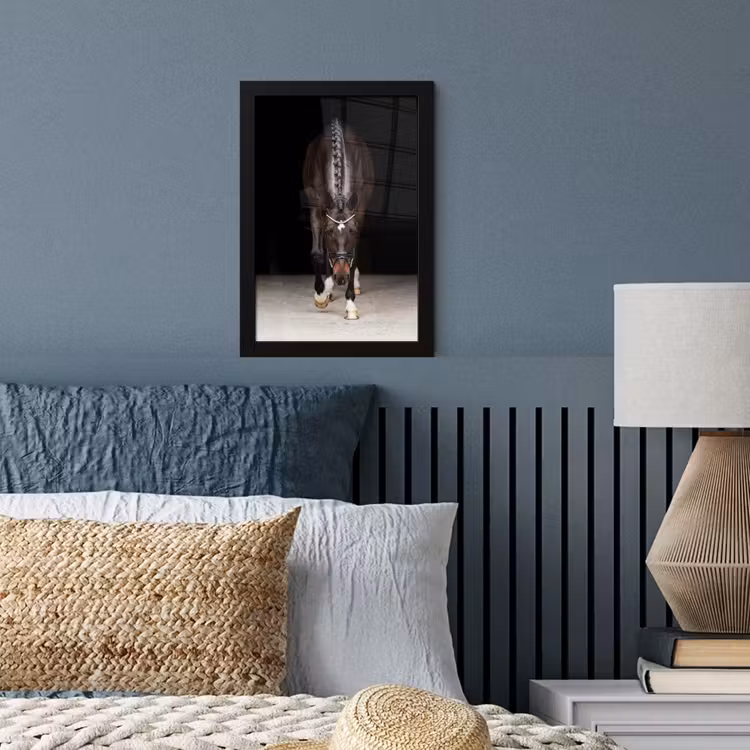 Paard - Modern - Portret fotolijst zwart zonder passe partout klein -sfeer3