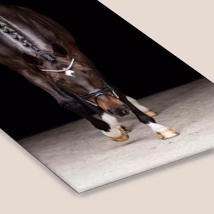 Paard - Modern - Portret fotolijst zwart zonder passe partout klein -zsfeer6