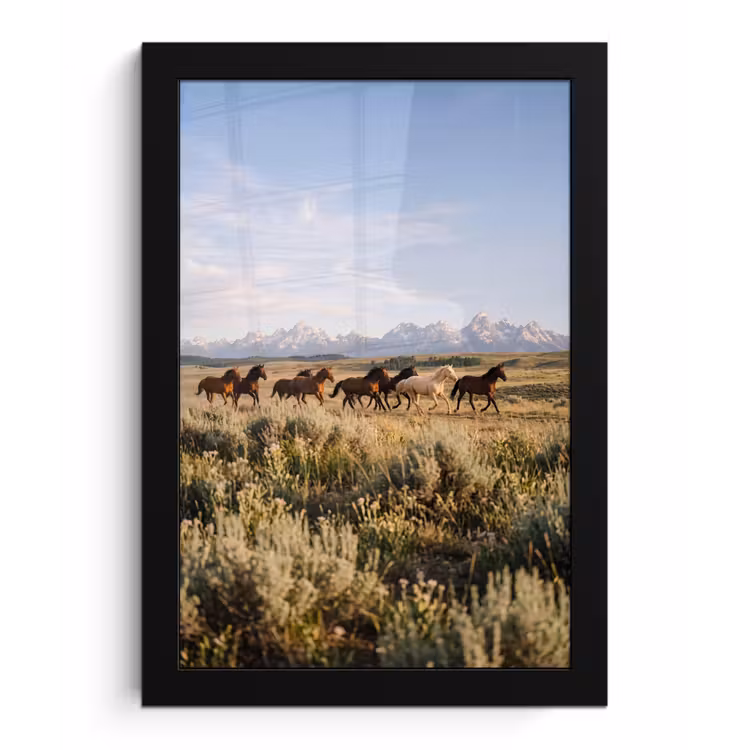 Paarden - Kudde - Bergen - Vrijheid - Wild fotolijst zwart zonder passe partout klein -3d