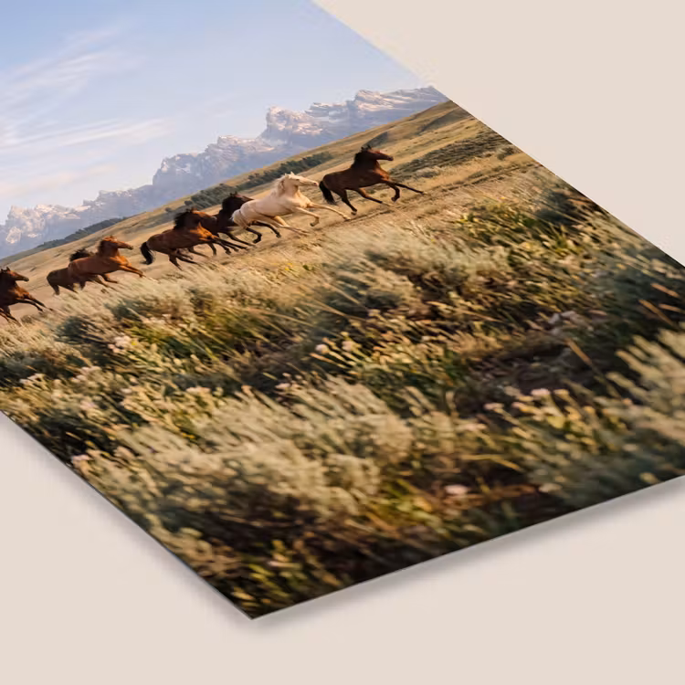 Paarden - Kudde - Bergen - Vrijheid - Wild fotolijst zwart zonder passe partout klein -zsfeer6