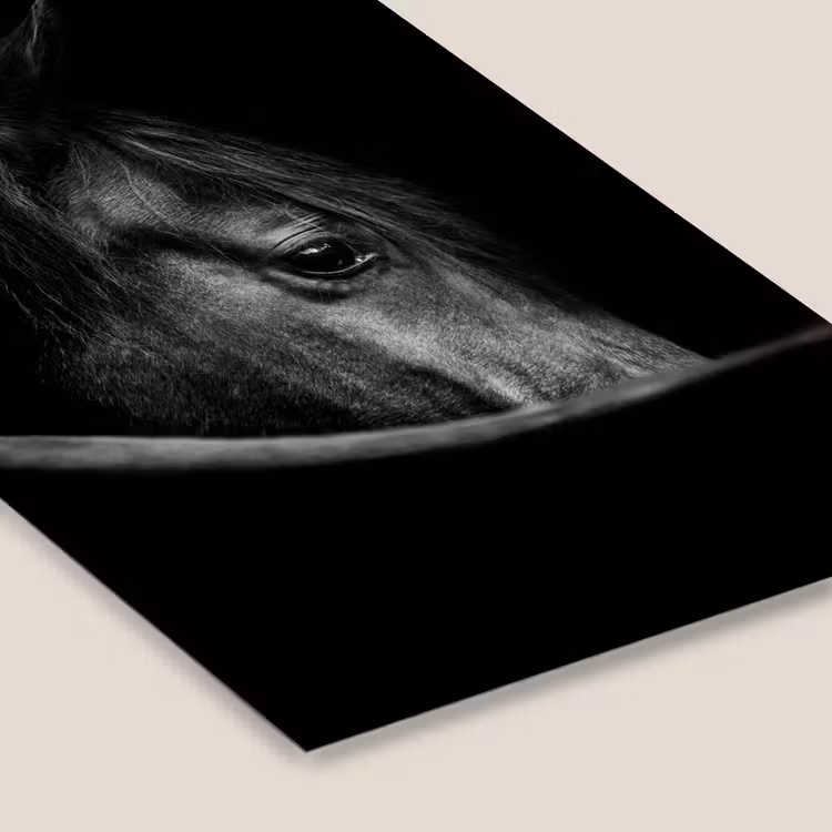 Paarden - Portret - Zwart - Dieren fotolijst zwart zonder passe partout klein -zsfeer6