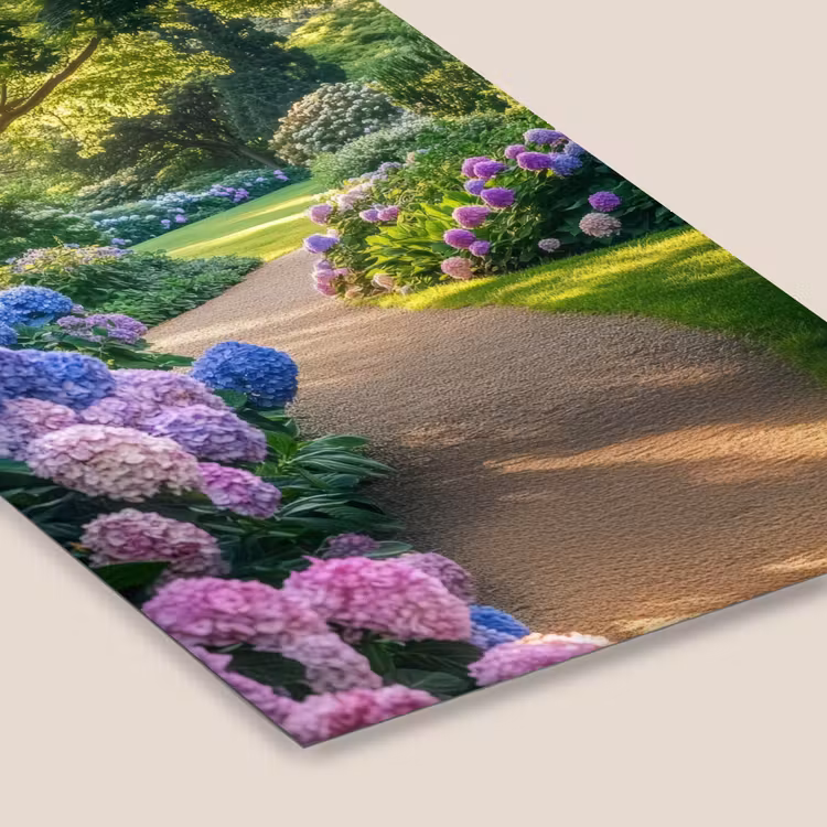 Hortensia- Park - Pad fotolijst zwart zonder passe partout klein -zsfeer6