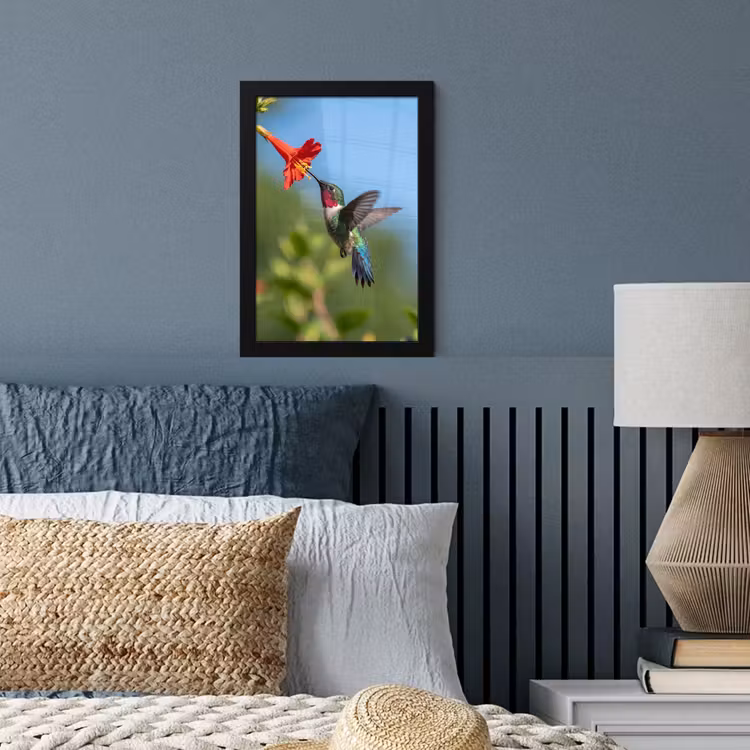 Kolibrie - Bloem - Natuur - Groen fotolijst zwart zonder passe partout klein -sfeer3