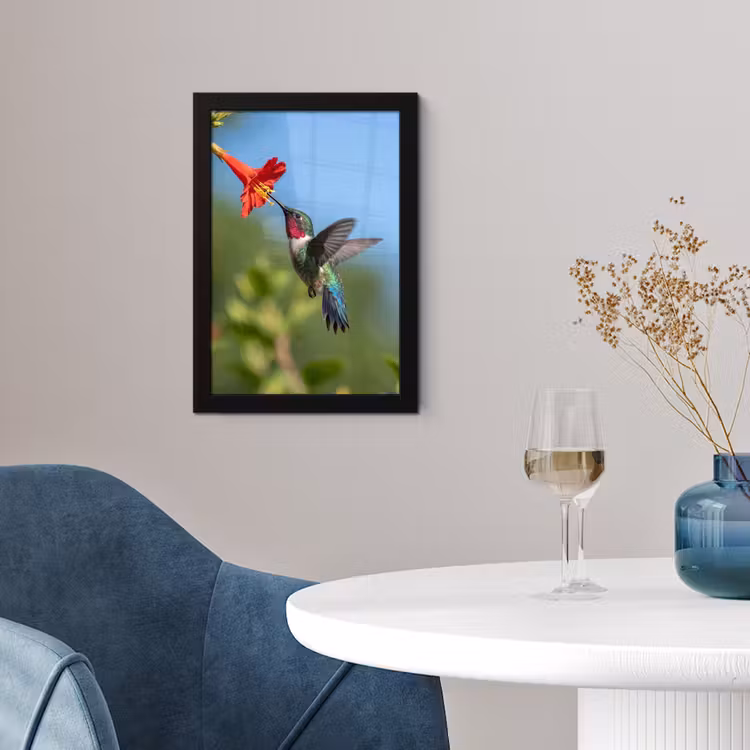 Kolibrie - Bloem - Natuur - Groen fotolijst zwart zonder passe partout klein -sfeer4