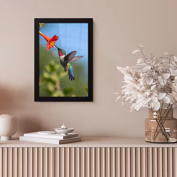 Kolibrie - Bloem - Natuur - Groen fotolijst zwart zonder passe partout klein -sfeer5