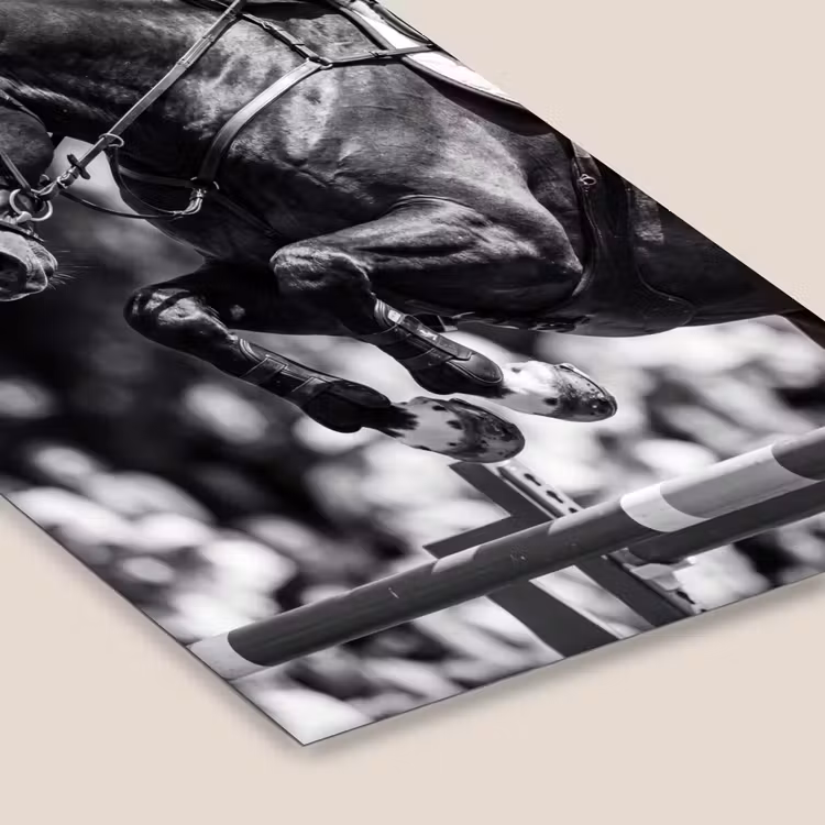 Springen - Paard - Zwart - Wit fotolijst zwart zonder passe partout klein -zsfeer6