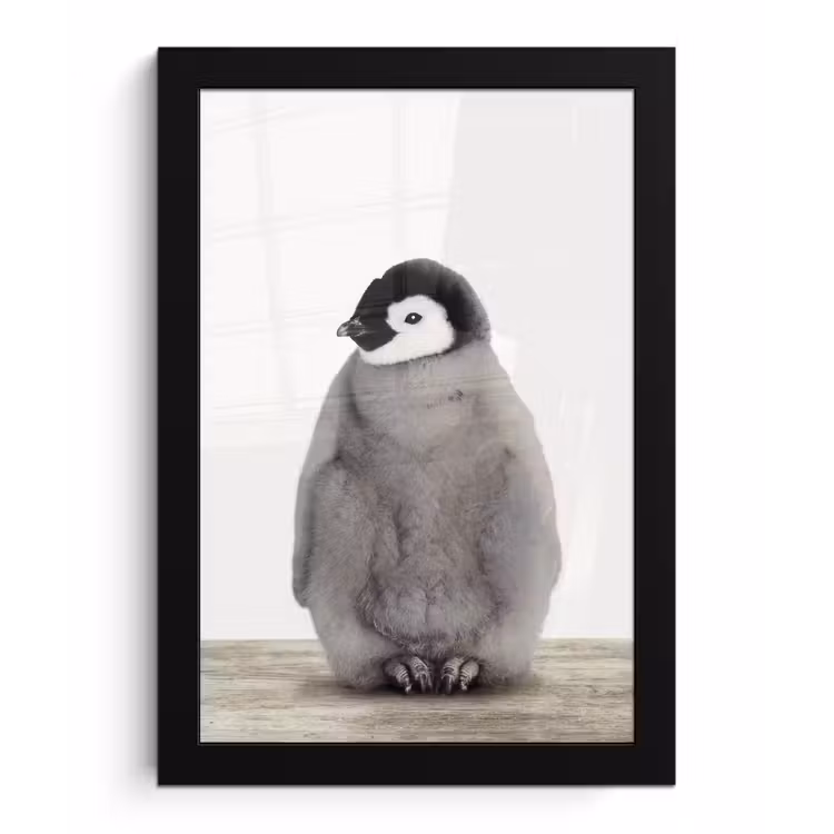 Kinderen - Pinguïn - Grijs - Dieren - Meisjes - Jongens fotolijst zwart zonder passe partout klein -3d