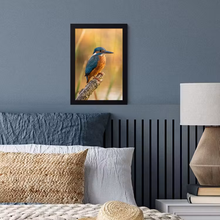 IJsvogel - Tak - Water - Kleurrijk - Levendig fotolijst zwart zonder passe partout klein -sfeer3
