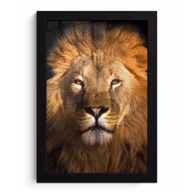 Leeuw - Dieren - Zwart - Licht - Bruin - Portret fotolijst zwart zonder passe partout klein -3d