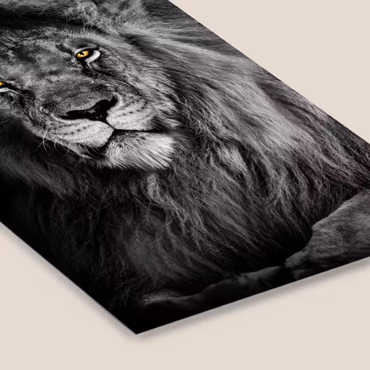 Leeuw - Ogen - Oranje - Zwart wit - Dieren - Portret fotolijst zwart zonder passe partout klein -zsfeer6