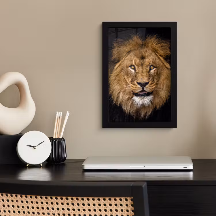 Leeuw - Portret - Zwart - Dieren fotolijst zwart zonder passe partout klein -sfeer1