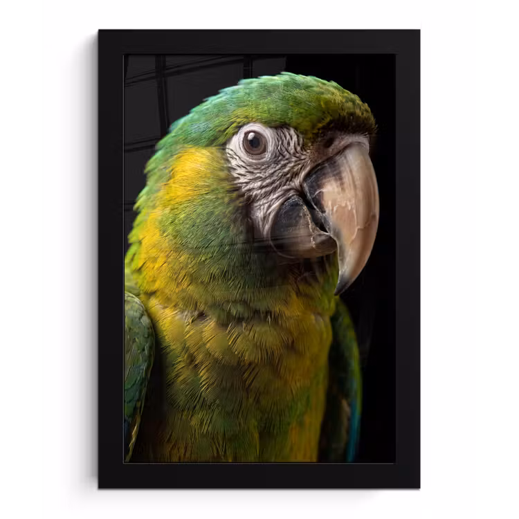 Ara - Portret - Groen fotolijst zwart zonder passe partout klein -3d