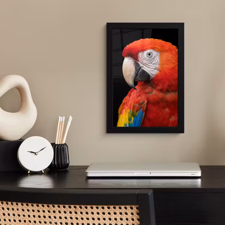 Ara - Portret - Rood fotolijst zwart zonder passe partout klein -sfeer1