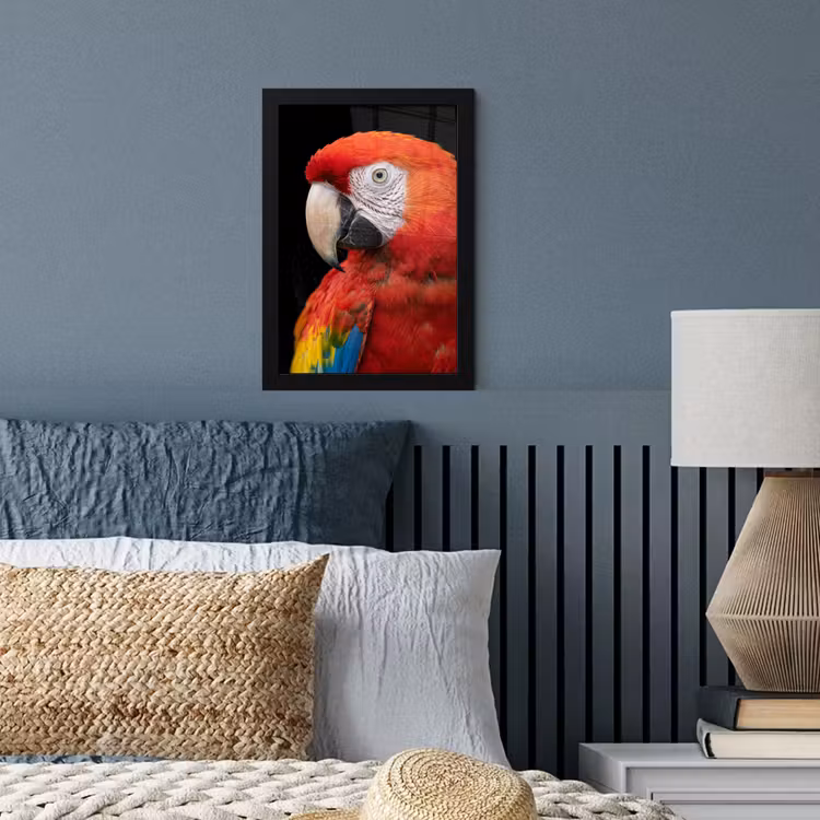 Ara - Portret - Rood fotolijst zwart zonder passe partout klein -sfeer3
