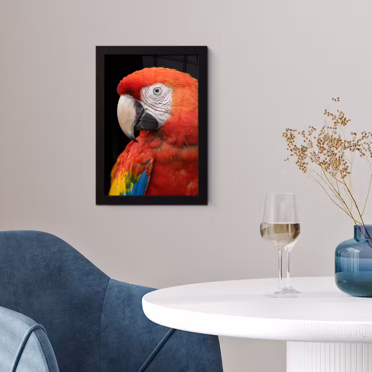Ara - Portret - Rood fotolijst zwart zonder passe partout klein -sfeer4