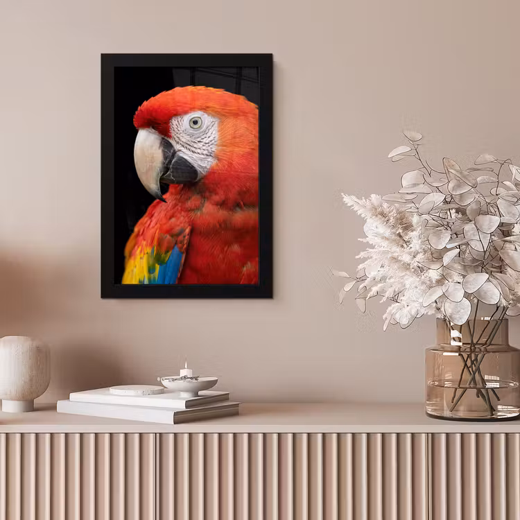 Ara - Portret - Rood fotolijst zwart zonder passe partout klein -sfeer5