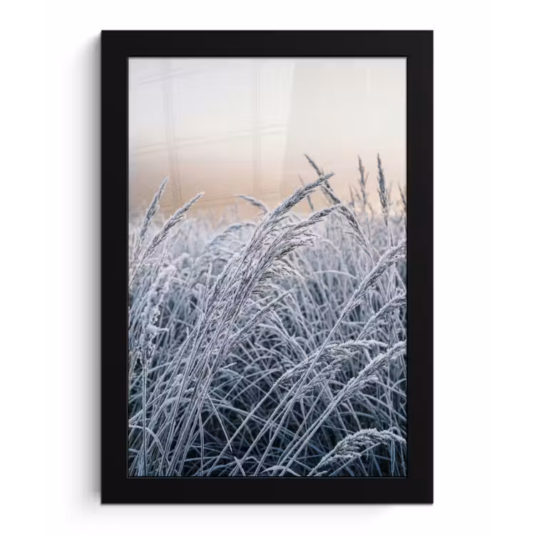Rijp - Gras - Kristallen - Winter - Minimalistisch fotolijst zwart zonder passe partout klein -3d