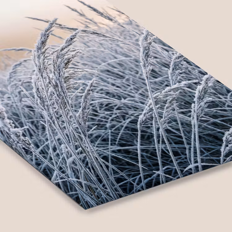 Rijp - Gras - Kristallen - Winter - Minimalistisch fotolijst zwart zonder passe partout klein -zsfeer6