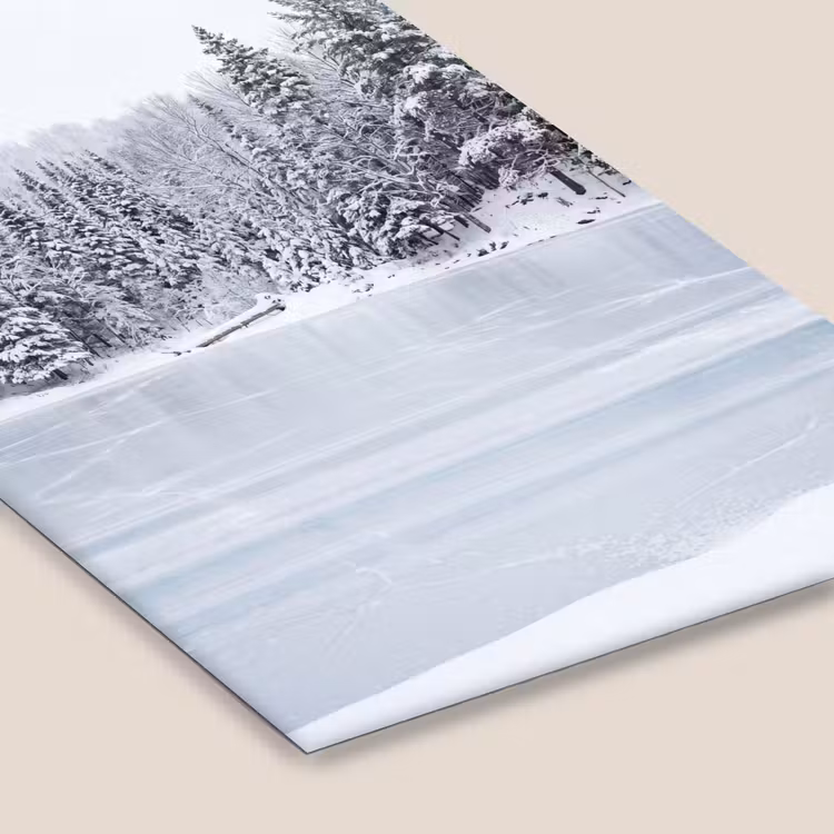 Meer - Dennen - IJs - Winter - Rustgevend fotolijst zwart zonder passe partout klein -zsfeer6